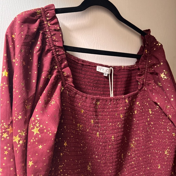 Ivy City Co Starry Burgundy Long Sleeve Dress - Picture 5 of 9